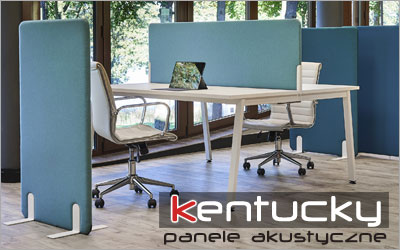 ścianki działowe kentucky